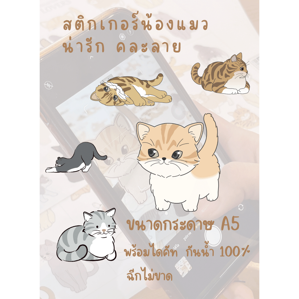 สติ๊กเกอร์ ลายการ์ตูน น้องแมว น่ารัก คละลาย กันน้ำ 100%