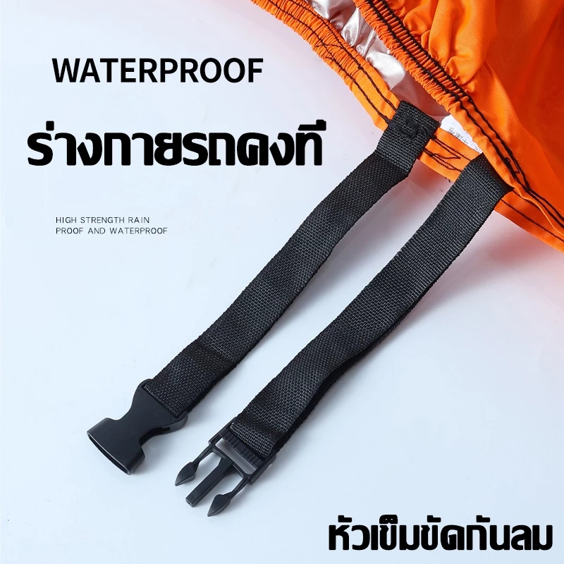 รูปภาพ 6