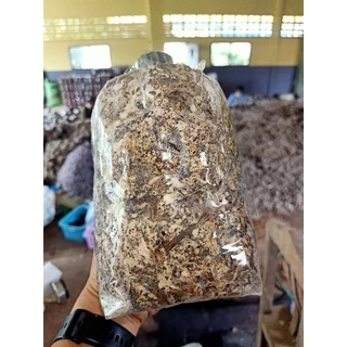 ก้อนเชื้อเห็ดฟาง 10 แถม 2 พร้อมคู่มือ + อาหารเห็ด 3 ชนิดครบชุด