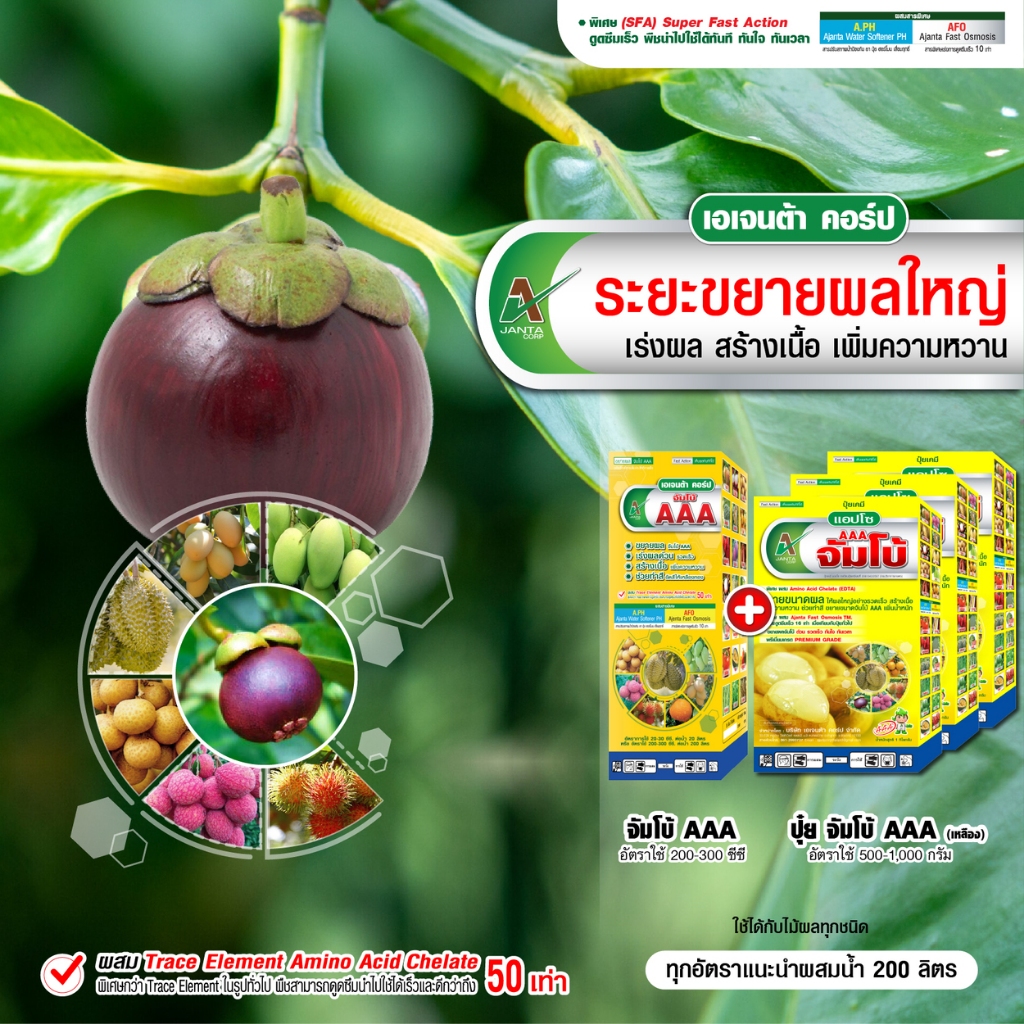 ชุดขยายผลใหญ่มังคุด ระยะเข้าสี เอเจนต้า คอร์ป ผลใหญ่จัมโบ้ สร้างเนื้อ เข้าสี (1 ลิตร + 3 กิโลกรัม)