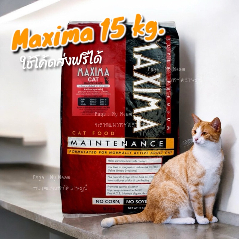 [โค้ดส่งฟรี] 🔥 ยกกระสอบ 15 kg 🔥 MAXIMA CAT อาหารแมว แม็กซิม่า อาหารเม็ดเกรดพรีเมียม แมวโต 1 ปี รสแกะ