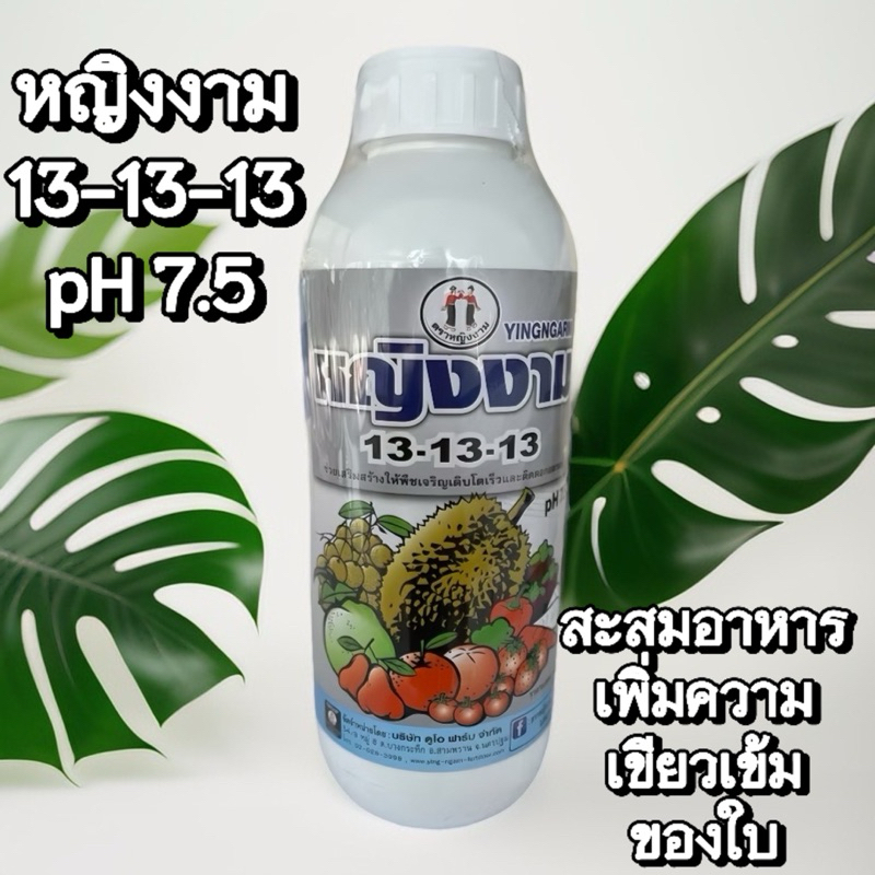 13-13-13 ปุ๋ยน้ำฟอสเฟต ตราหญิงงาม 1 ลิตร pH 7.5 ใบเขียวเข้มสมบูรณ์ ขยายใบ บำรุงต้น ขยายผลบำรุงผล