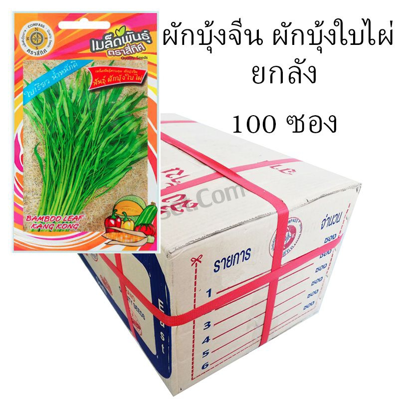 เมล็ดผักบุ้งจีน พันธุ์ผักบุ้งใบไผ่
(รหัส A5678)

