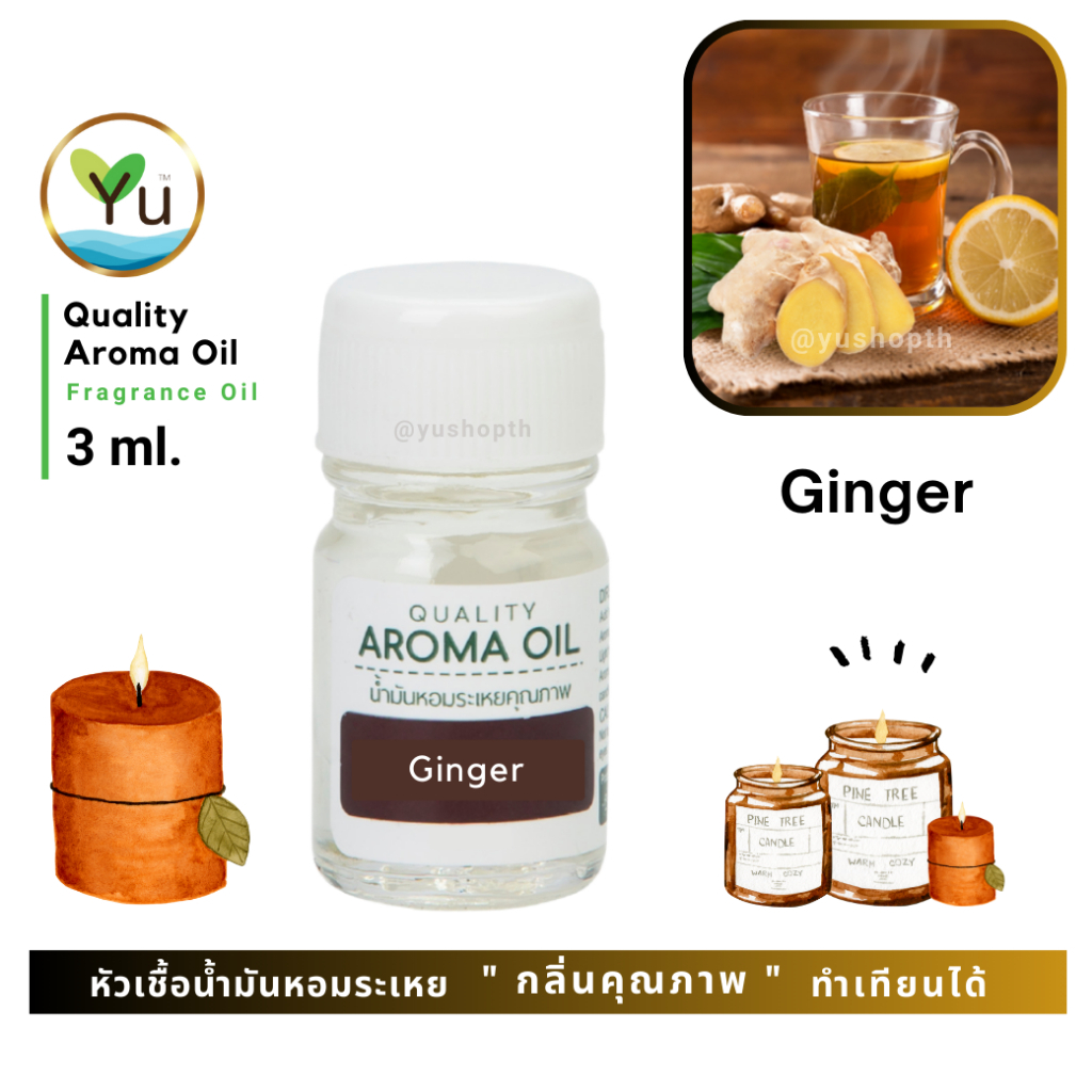 3 ml. กลิ่น Ginger (ขิง) 🌟หัวเชื้อน้ำมันหอมระเหย กลิ่นคุณภาพ | Quality Aroma Oil