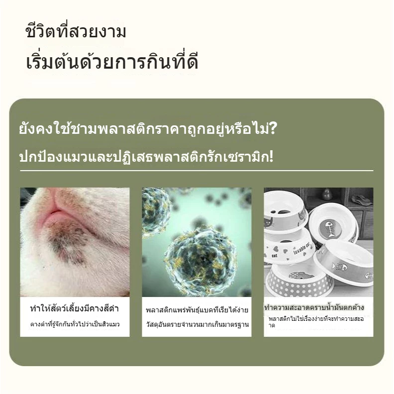 【สินค้าสปอต】ชามอาหารแมว เซรามิกคุณภาพสูง ชามอาหารสัตว์ แบบใหม่ ครับ ชามอาหารสัตว์เลี้ยง thumbnail 10