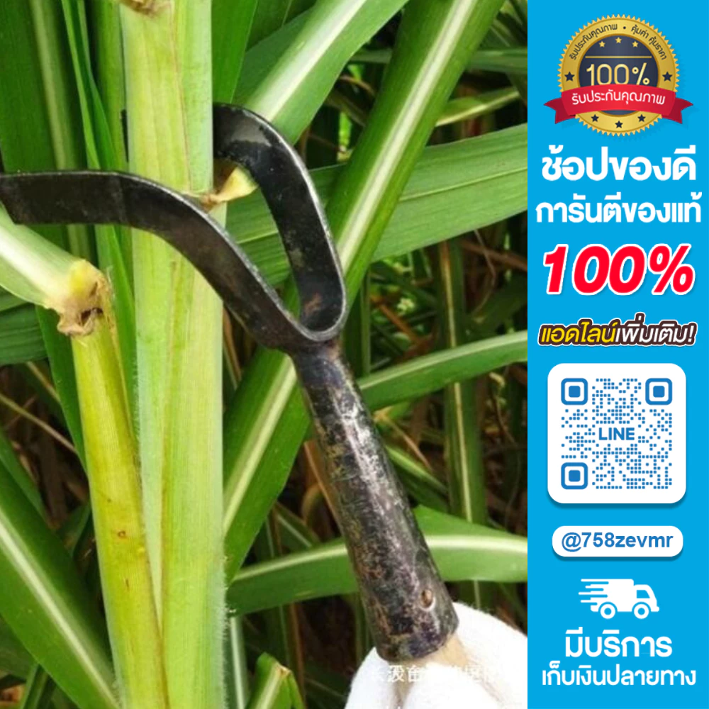 มีดสางอ้อย อุปกรณ์ทำอ้อย อุปกรณ์การเกษตร thumbnail 4