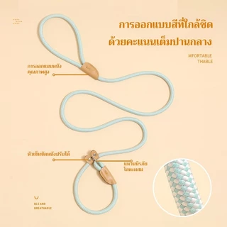สายจูงสุนัข 🐶 สำหรับพันธุ์กลาง-ใหญ่ 🌈 มีหลายสี หลายไซส์ สายจูงหมา จูงสัตว์เลี้ยง ดีไซน์สวยมาก ✨