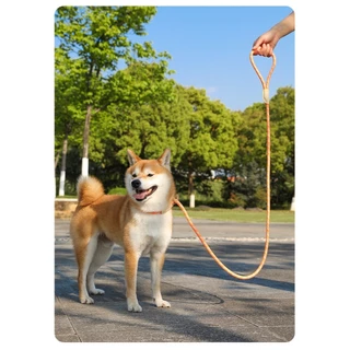 สายจูงสุนัข 🐶 สำหรับพันธุ์กลาง-ใหญ่ 🌈 มีหลายสี หลายไซส์ สายจูงหมา จูงสัตว์เลี้ยง ดีไซน์สวยมาก ✨