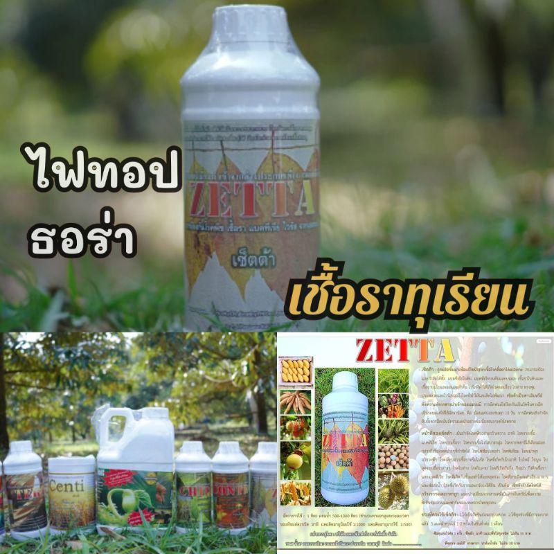 ยาเชื้อราทุเรียนโคนเน่าใบติดเซ็ตต้า