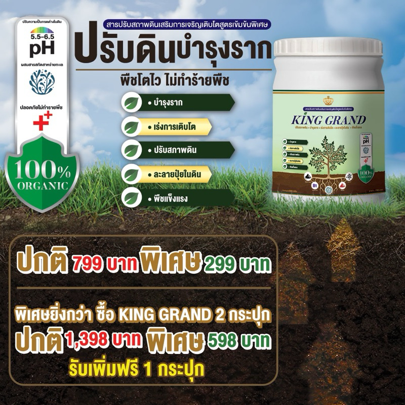 คิงส์แกรนด์ King grand สารปรับปรุงดิน ดินแข็ง ดินเป็นกรด ปรังปรุงสภาพดิน