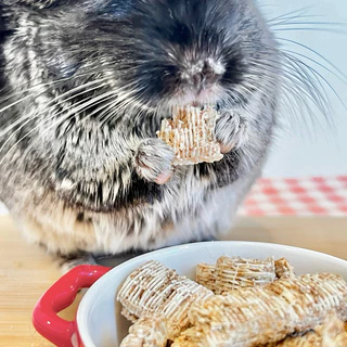 Chinchulie | ข้าวสาลีอบกรอบ ชินชิล่า แพรี่ด็อก กระต่าย ขนมสัตว์ฟันแทะ