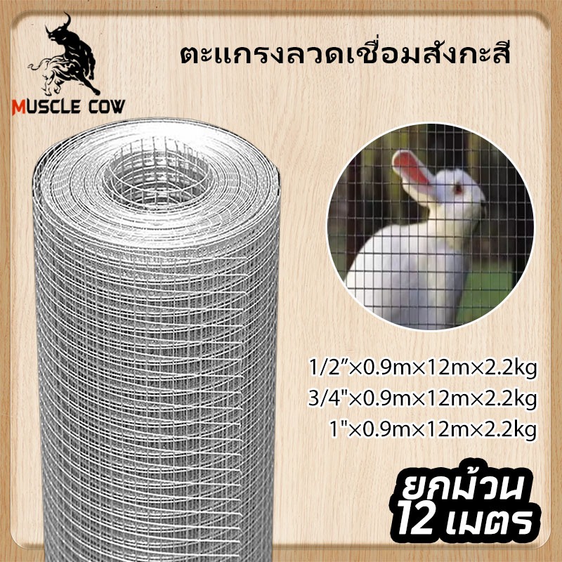 MUSCLE COW ลวดตาข่าย ชุบกัลวาไนซ์ ตาข่ายกรงไก่ ตาข่ายกรงนก ตะแกรงปูผนัง ตาข่ายลวด ลวดเหล็ก รั้วตาข่าย กันงู กันหนู ดักสั