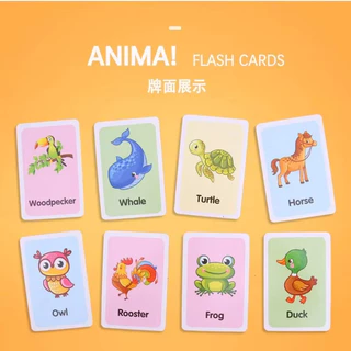 บัตรคํา flashcard ขนาด เสริมพัฒนาการเด็ก ชุดแฟลชการ์ด animal vegetable แฟลชการ์ดคำศัพท์