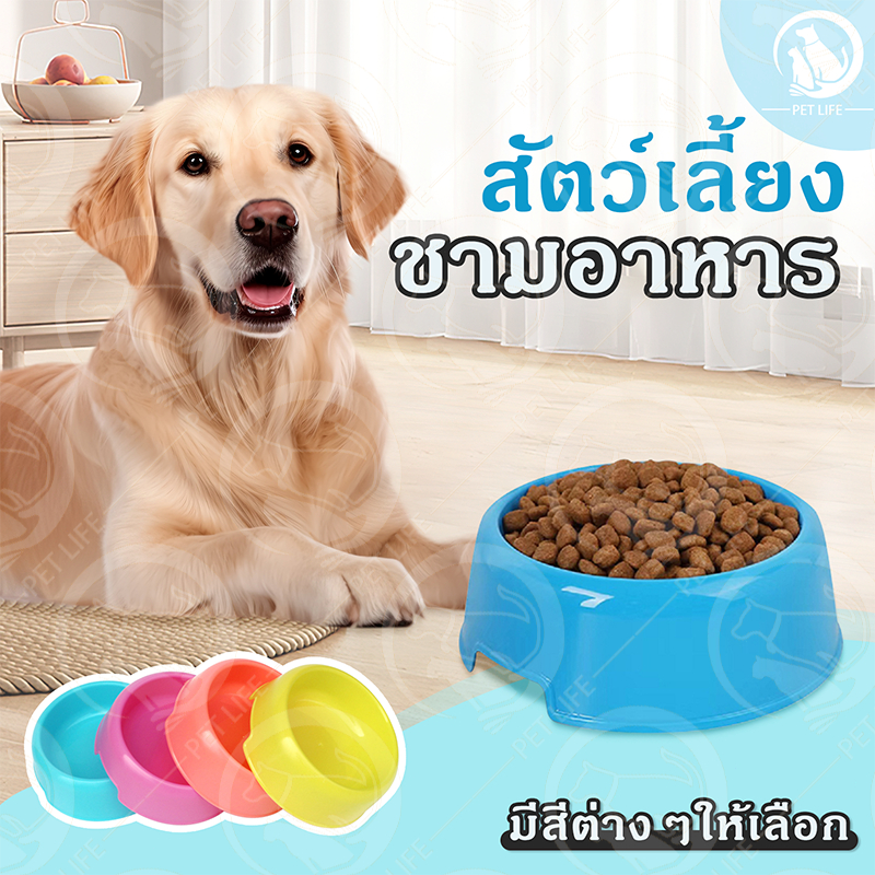 PET LIFE ชามอาหารสัตว์เลี้ยง ชามอาหารแมว ชามอาหารสุนัข ทำความสะอาดได้ง่าย 3 สีให