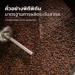 Alechaung เมล็ดกาแฟคั่วอาราบิก้า 100% คั่วอ่อน คั่วกลาง คั่วเข้ม กลิ่นหอมชัด คั่วสดใหม่ ขนาดAA 250กรัม 500กรัม แบบเมล็ด