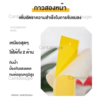 แผ่นกาวดักแมลง (มีกาวในตัว) มีให้เลือกหลายขนาด แพ็คละ 25/50/100 แผ่น กับดักแมลงกินผัก ดักแมลงศัตรูพืช กาวดักแมลงวันทอง