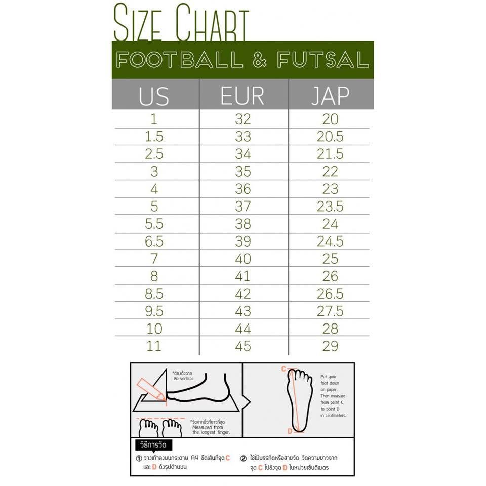 รูปภาพ 6