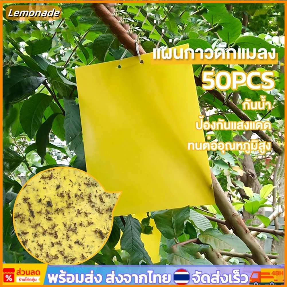 แผ่นกาวดักแมลง [มีกาวในตัว] มีให้เลือกหลายขนาด แพ็คละ 50 แผ่น กับดักแมลงกินผัก ดักแมลงศัตรูพืช กาวดักแมลงวันทอง