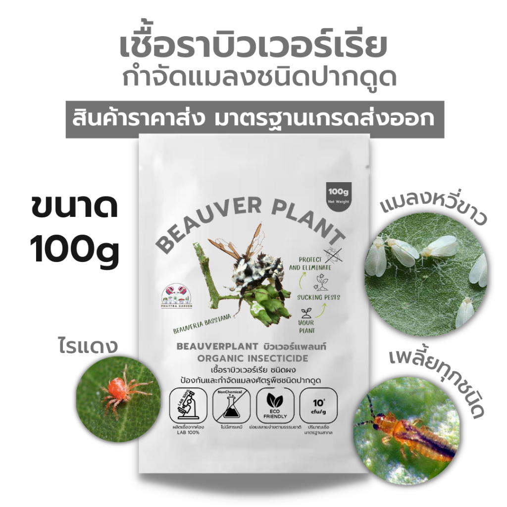 บิวเวอร์เรีย 100g กำจัดแมลงศัตรูพืช ออร์แกนิคแท้ เพาะเชื้อในห้องLAB100% ปลอดภัยต่อผู้ใช้และสัตว์เลี้ยง