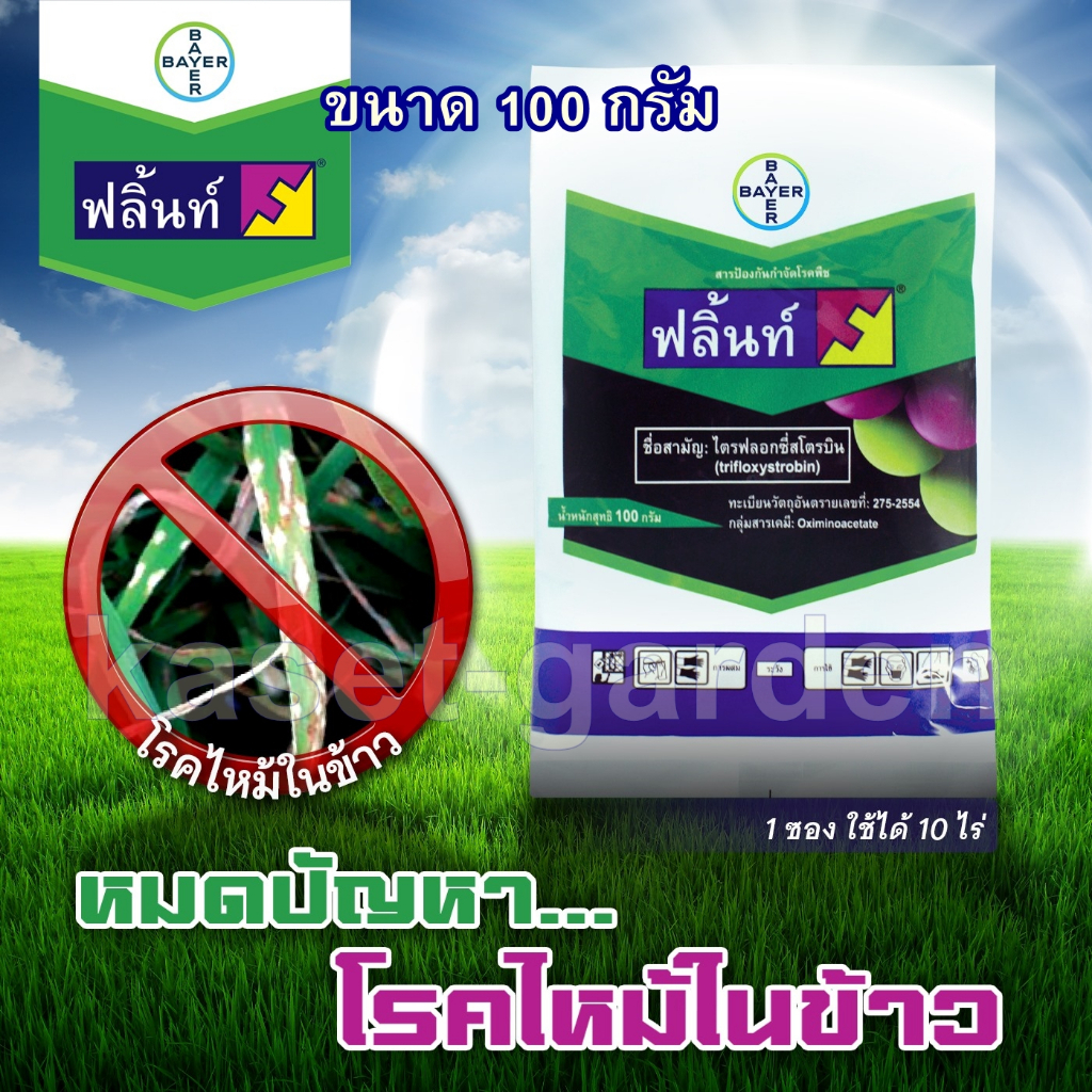 ถูกสุด! ฟลิ้นท์  ขนาด 100กรัม ของแท้!! (ไตรฟลอกซีสโตรบิน) กำจัดเชื้อราพืชทุกชนิด ราแป้งในดอกมะม่วง ทุเรียน