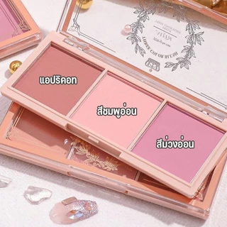 บลัชออนปัดแก้ม เนื้อแมตต์ ไม่บิน สีธรรมชาติ ติดทนนาน สําหรับแต่งหน้า