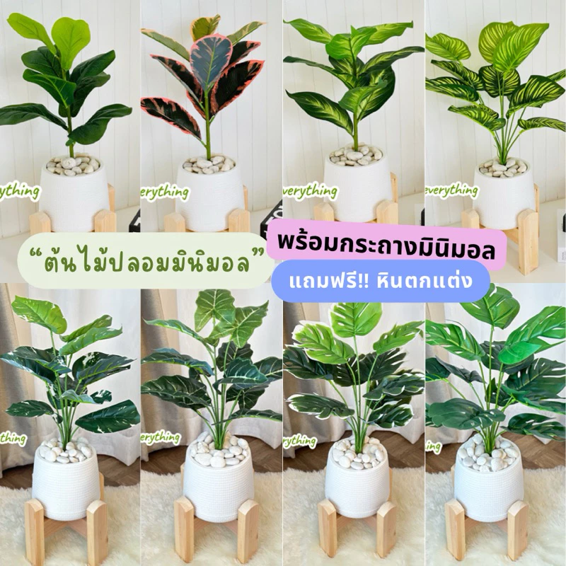 ต้นไม้ปลอม ต้นไม้มงคลเหมือนจริง 🪴