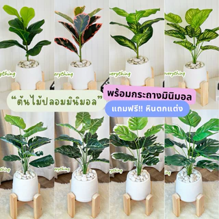 ต้นไม้ปลอม ต้นไม้มงคลเหมือนจริง 🪴
