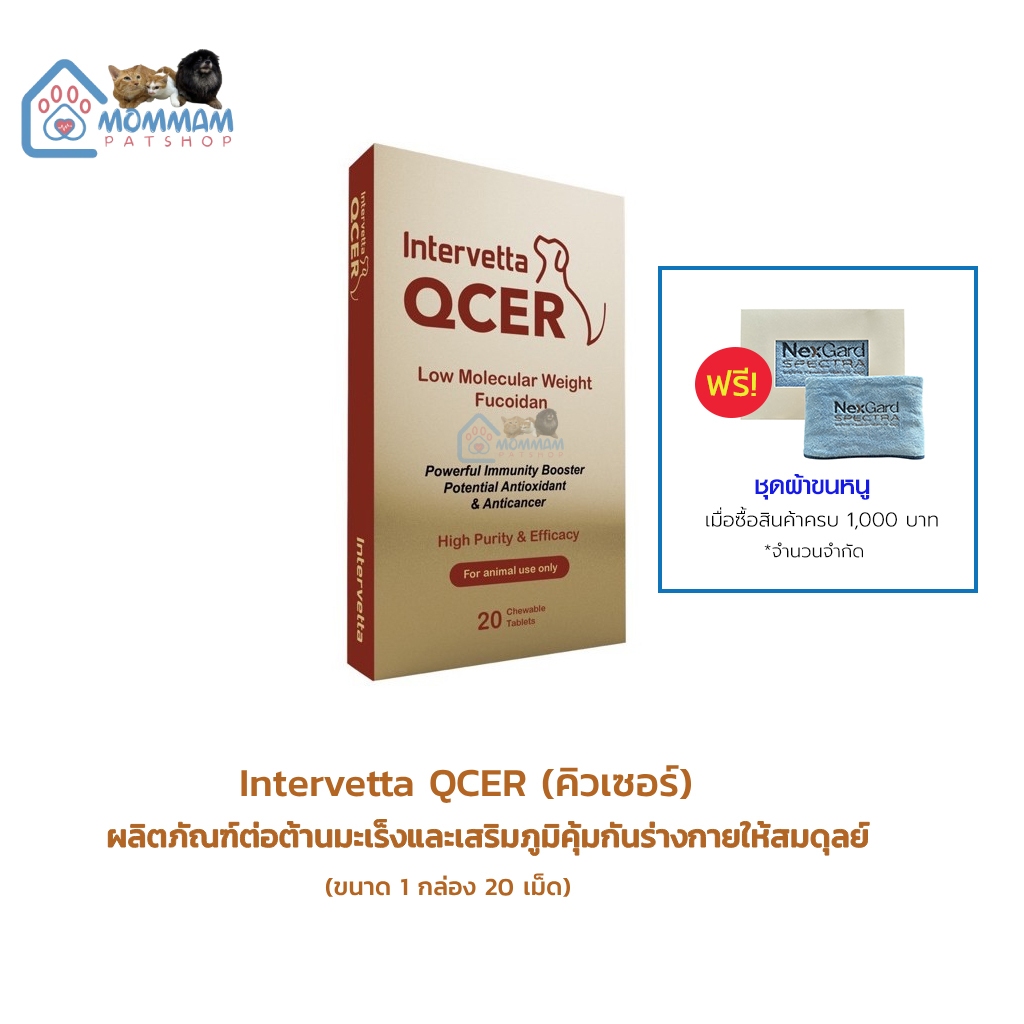 Intervetta QCER อาหารเสริมต่อต้านมะเร็งและเสริมภูมิคุ้มกันให้สมดุลย์สำหรับสุนัขและแมว