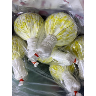 ลูกประคบสด สมุนไพรสด 1 ลูก