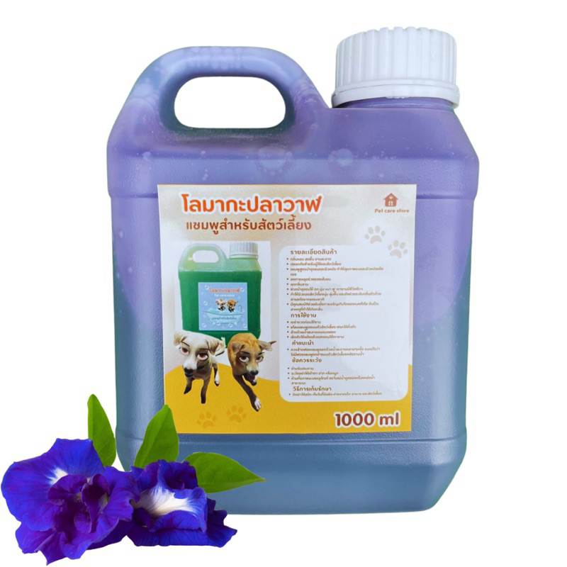 รูปภาพ 5