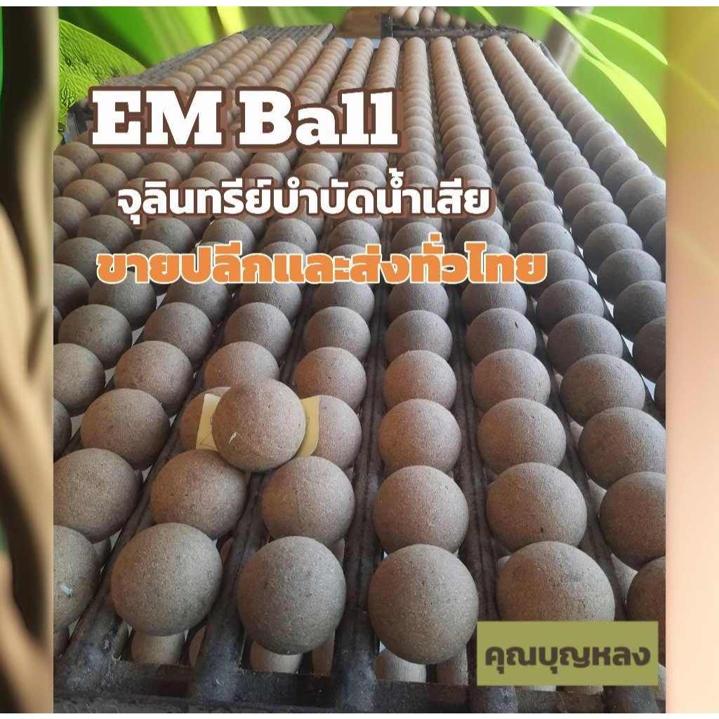 อีเอ็มบอล 10ลูก แถม1ลูกบำบัดน้ำเสีย ลดกลิ่นทันที ย่อยสลายของเสีย ตะกอนไขมัน สารอินทรีย์ จากหัวเชื้อจุลินทรีย์คุณภาพ