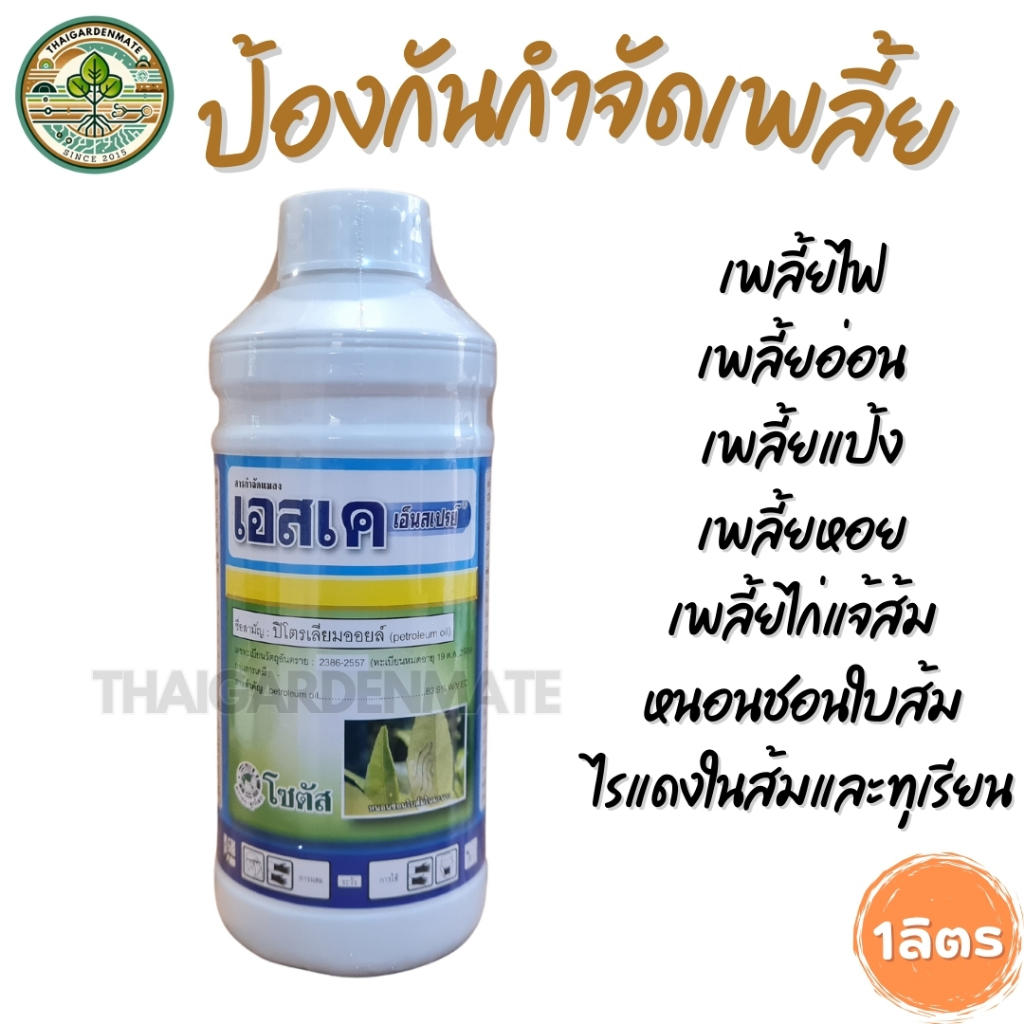 TGM เอสเคเอ็นสเปรย์ ป้องกันกำจัดแมลง เพลี้ย เพลี้ยไฟ เพลี้ยแป้ง ด้วยสารปิโตรเลียมออย petrolium oil / ไวท์ออย white oil