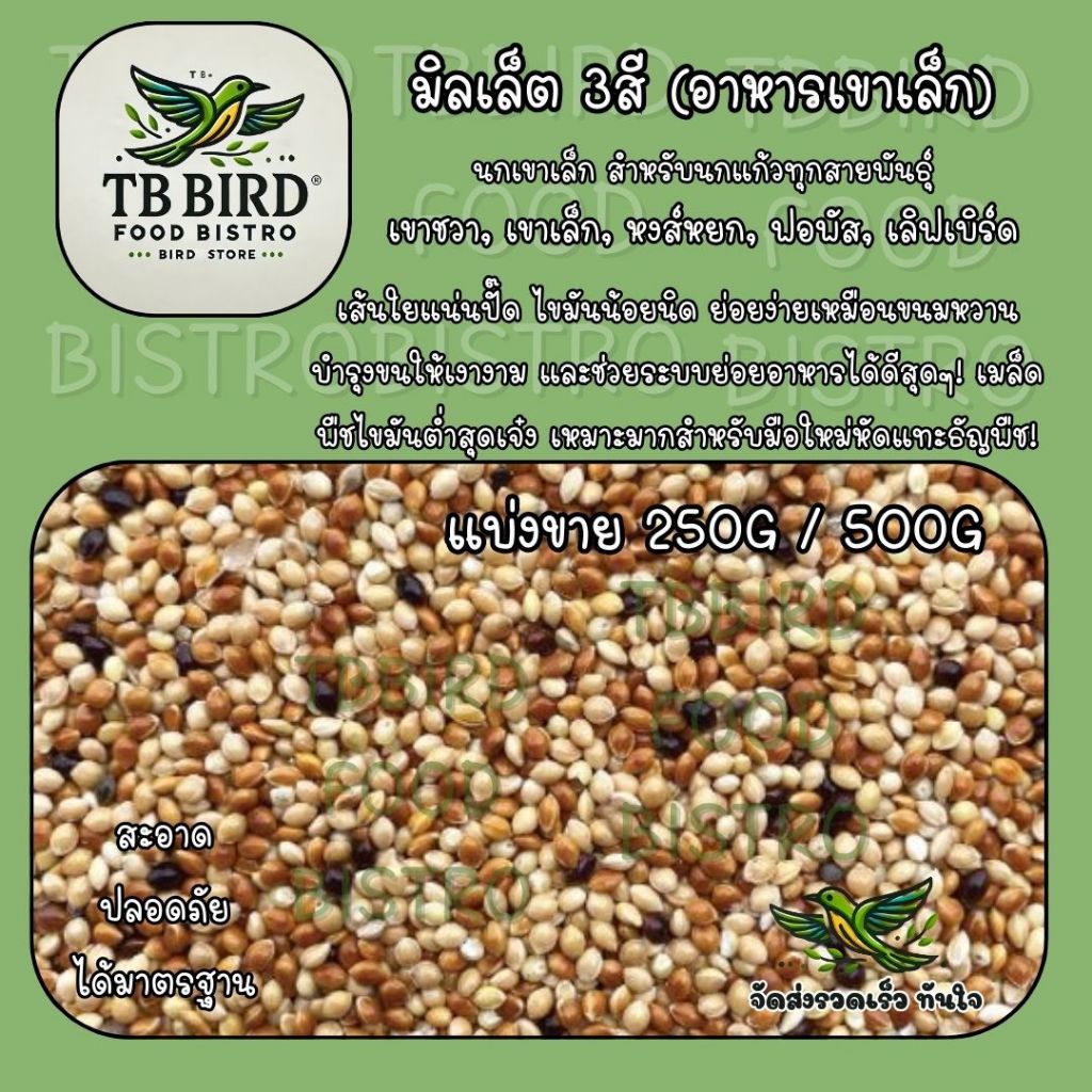 มิลเล็ต 3สี Mix Millet เกรดA อาหารนกเขาเล็ก นกแก้ว และสัตว์ฟันแทะ สะอาด ร่อนฝุ่นทุกถุง (แบ่งขาย 250G / 500G / 1KG)