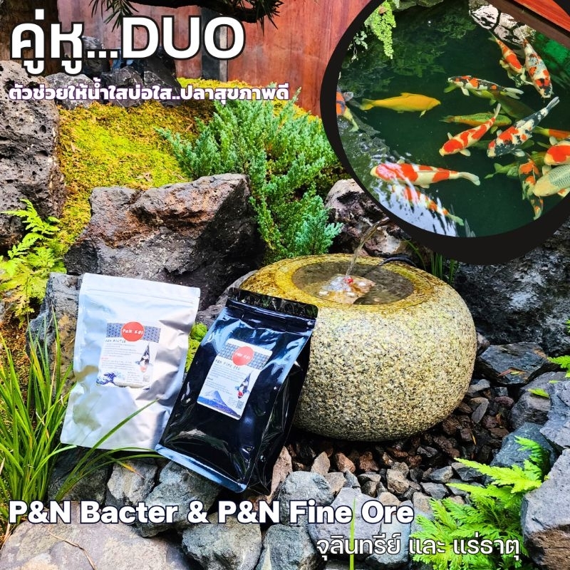 Set คู่หูน้ำใสP&N Bacter & P&N Fine Ore - รูปที่ 2