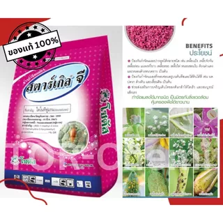 สารกำจัดแมลงสำหรับรองกุ้นหลุมหรือโรยรอบโคนต้น สตาร์เกิลจี 1กก.ใช้น้อย ออกฤทธิ์ยาวนาน ปลอดภัยต่อคนและสัตว์เลี้ยง