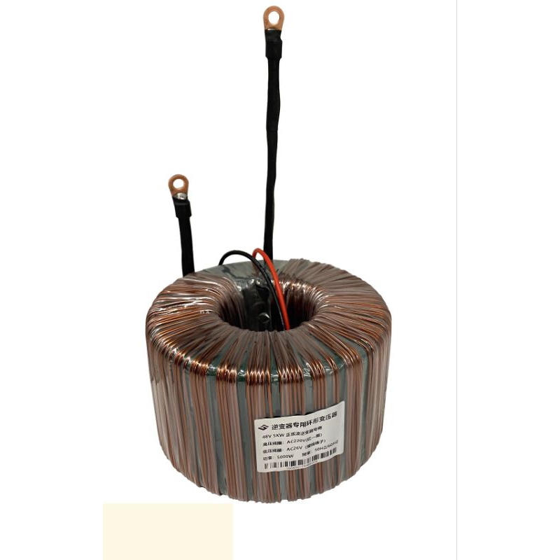 หม้อแปลงเทอรอยด์8000w.