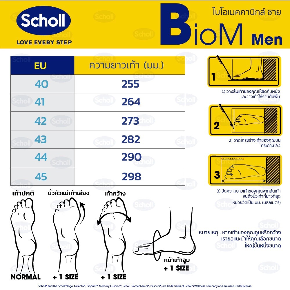 Scholl รองเท้าสกอลล์-ไบโอ Biom Bean Mens II Biomechanics รองเท้าแตะ หนีบ รองเท้าสุขภาพ สำหรับผู้ชาย