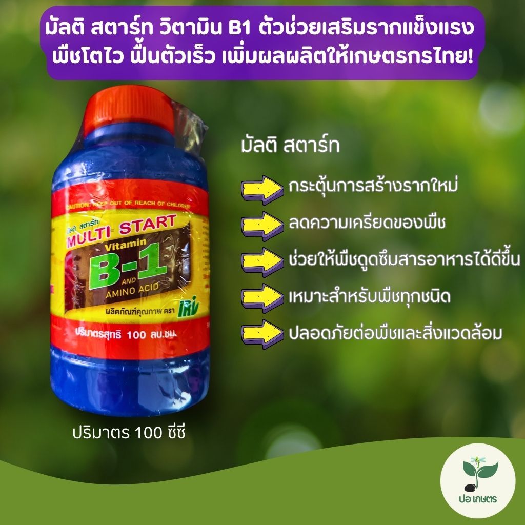 มัลติ สตาร์ท วิตามิน B1 (100 ซีซี) ลำต้นสมบูรณ์ เร่งโต แตกรากไว พืชแข็งแรง ลดใบเหลือง เห็นผลเร็ว