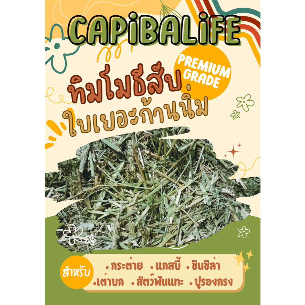 **พร้อมส่ง**หญ้าทิมโมธีสับ/ทิมสับ/ทิมสับสั้น/ทิโมธีสับพรีเมี่ยมใบเยอะก้านนิ่ม/กระต่าย/แกสบี้/เต่าโต