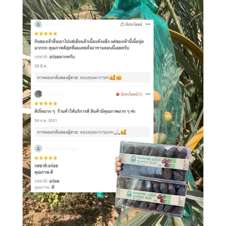อินทผลัมเม็ดจูลจัมโบ้ (1,000กรัม) ตรงปก💯%สดจากห้องเย็น เนื้อนุ่มหอมมันหวานกำลังดี เนื้อเยอะคุ้ม อร่อยมาก🥰