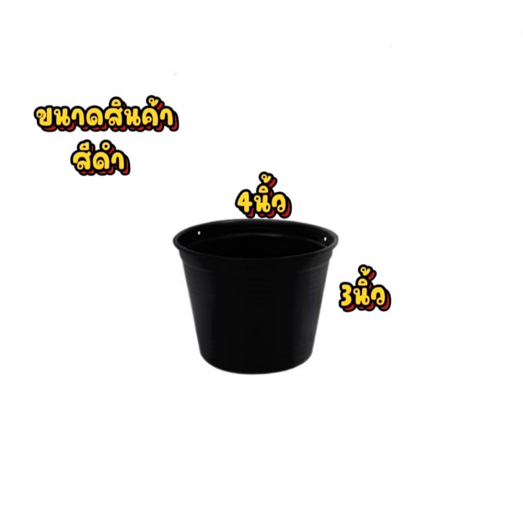 [กระถางราคาถูก] พร้อมส่ง กระถางต้นไม้พลาสติกสีดำ 4 นิ้ว 5.5 นิ้ว 6 นิ้ว 8 นิ้ว 10 นิ้ว - รูปที่ 7
