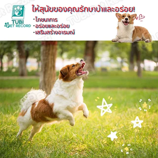 ขนมสำหรับสุนัข อุปกรณ์ฝึกการเคลื่อนไหว ทำความสะอาดฟัน เสริมสร้างมิตรภาพ ขนมอบสำหรับสุนัข เนื้อแดดเดียว