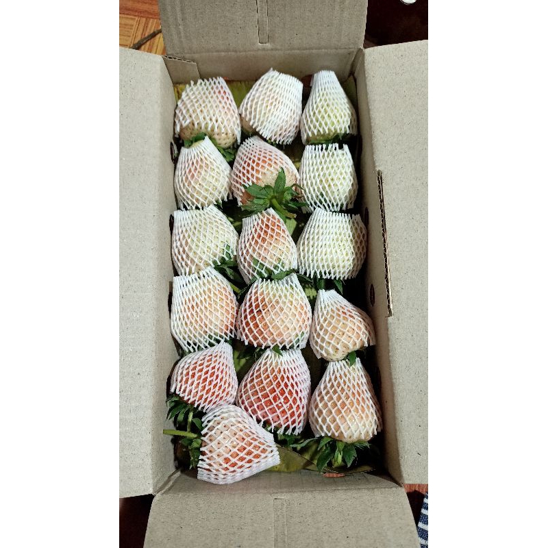 สตรอว์เบอร์รี่พันธุ์พระราชทานพันธุ์80 //ไซส์ พิเศษ// 1 กก.//อ่านลายละเอียดก่อนสั่งซื้อ