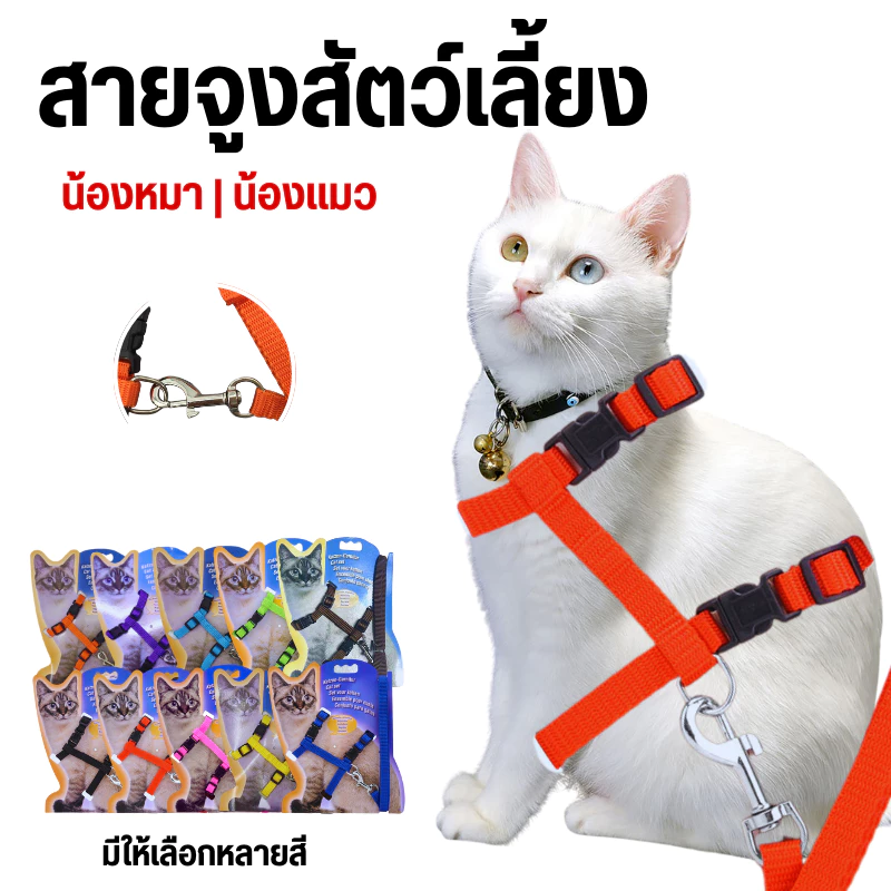 สายจูงรัดสัตว์เลี้ยงปรับได้ สายจูงแมว หมา กระต่าย ขายส่งโดยตรงจากโรงงาน สินค้าดีมีคุณภาพ