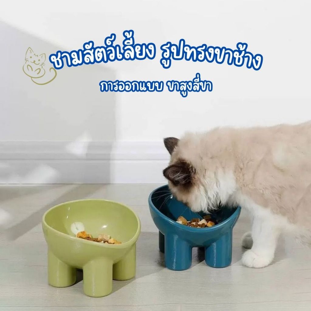 ชามอาหารสัตว์เลียง รูปทรงขาช้างยกสูง ฐานสี่ขา ทรงสูง ช่วยเซฟหลัง เอียง 15องศา