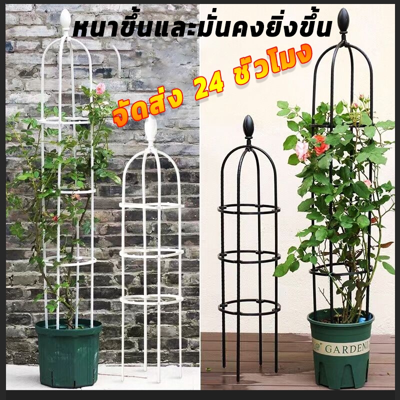 จัดส่ง 24 ชั่วโมง ทนทาน โครงกุหลาบ กันสนิม ซุ้มกุหลาบ โครงกุหลาบเลื้อย ซุ้มไม้เลื้อย 145cm*28cm