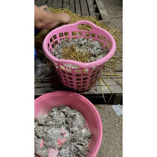 เชื้อเห็ดฟาง ชุด 5 ก้อน +อาหาร5ถุง +แป้ง5ถุง +คู่มือ