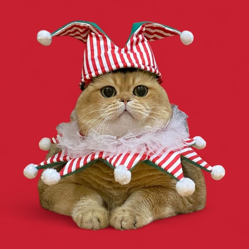 ชุดโบโซ่ พร้อมหมวก - Purrpet Christmas Collection