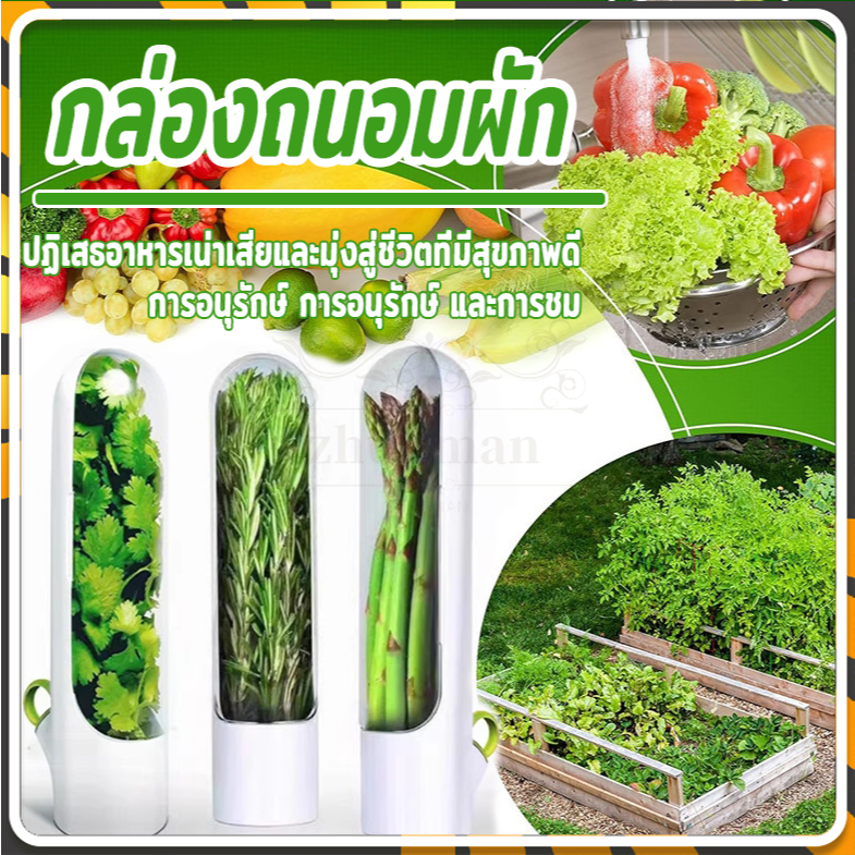 กล่องถนอมผัก กล่องถนอมสมุนไพร รักษาความสดใหม่ของผัก ระยะเวลาการเก็บรักษานานกว่าปกติ