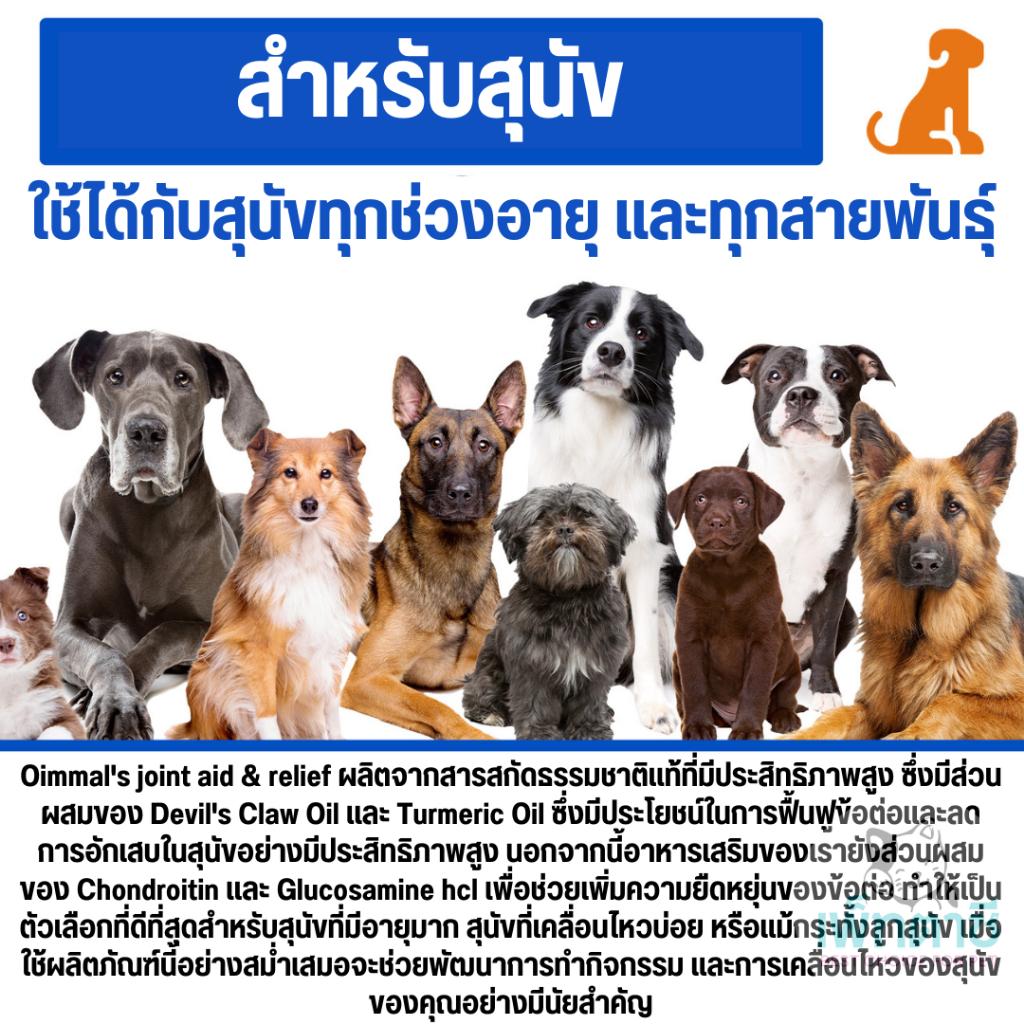 Oimmal Joint Aid & Relief วิตามินบำรุงข้อ ข้อต่อสุนัข ลดการอักเสบ บำรุงกระดูก สำหรับสุนัข - รูปที่ 6